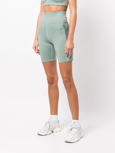 Shop Marchesa Olive Cycling Shorts In Green
