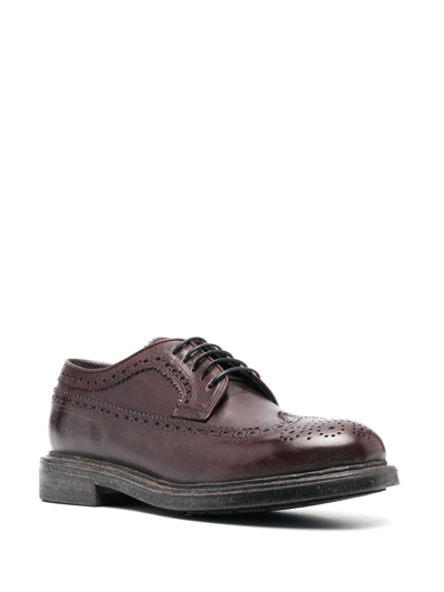 Shop Moma Allacciata Lace-up Brogues In Brown