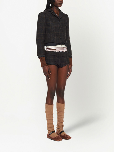 Shop Miu Miu Belted Check Shorts In Brown