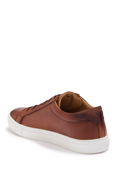 Shop To Boot New York Devin Leather Sneaker In Cognac F.725