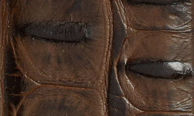 Shop Torino Hornback Embossed Leather Belt In Brown