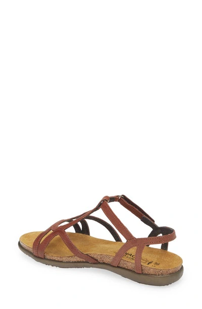 Naot Dorith Sandal In Chestnut Leather