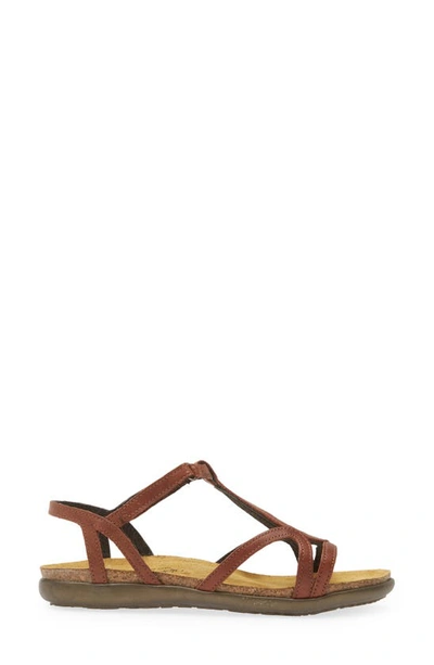 Naot Dorith Sandal In Chestnut Leather