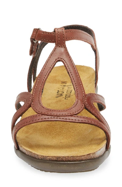 Naot Dorith Sandal In Chestnut Leather