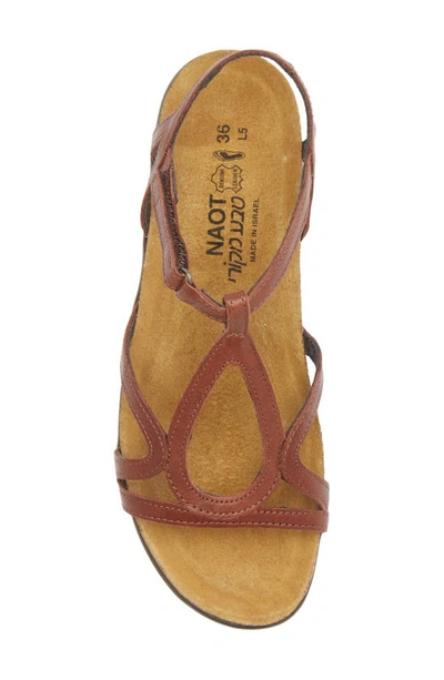 Shop Naot Dorith Sandal In Chestnut Leather