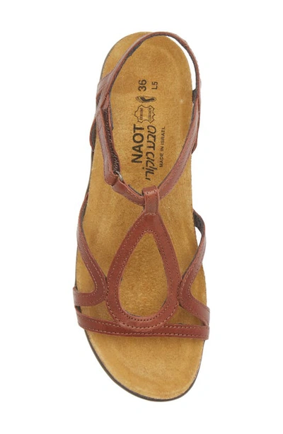 Naot Dorith Sandal In Chestnut Leather