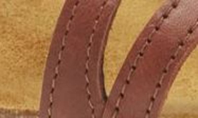 Naot Dorith Sandal In Chestnut Leather