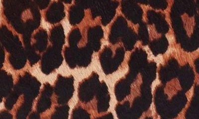 Shop Hobo Darcy Genuine Calf Hair Crossbody Bag In Leopard