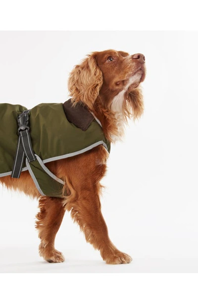 Shop Barbour Monmouth Waterproof Dog Coat In Olive
