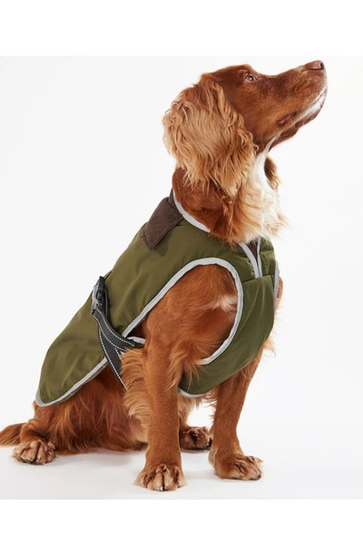 Shop Barbour Monmouth Waterproof Dog Coat In Olive