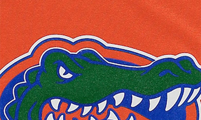 Shop Nike Youth  Orange Florida Gators Logo Legend Performance T-shirt