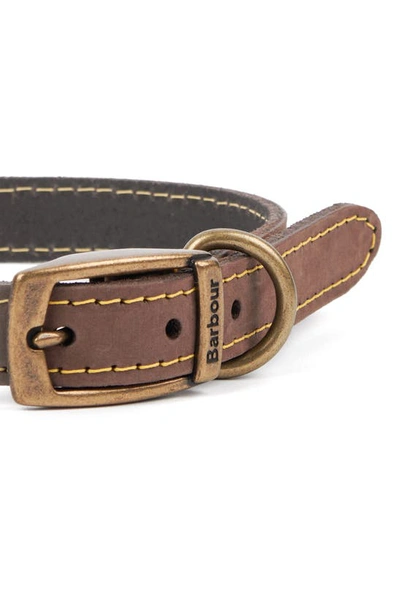 Shop Barbour Leather Dog Collar In Brown