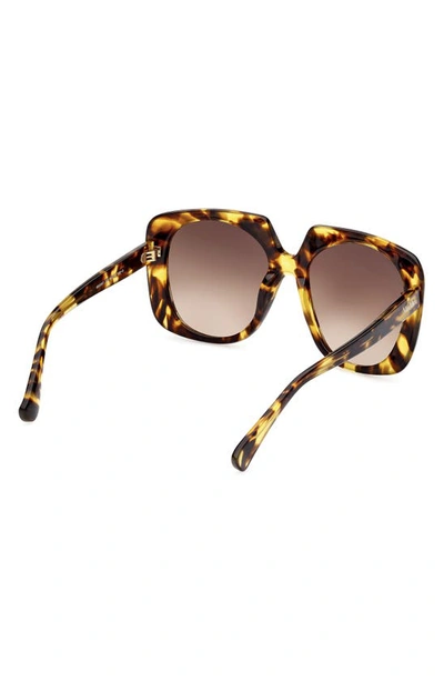 Shop Max Mara 56mm Gradient Square Sunglasses In Shiny Tokyo Tortiose / Brown