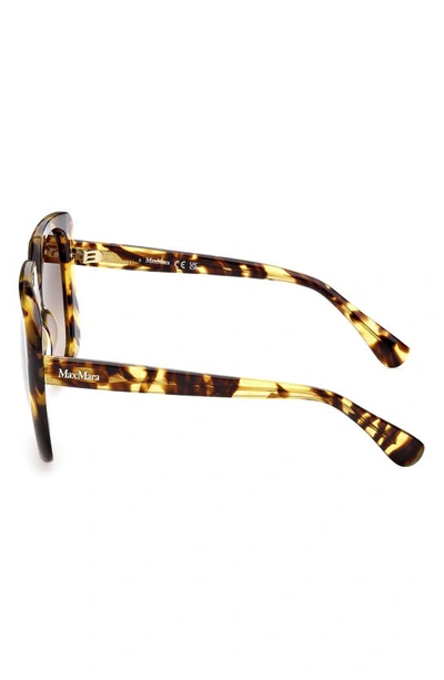 Shop Max Mara 56mm Gradient Square Sunglasses In Shiny Tokyo Tortiose / Brown