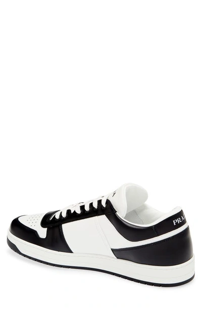 Shop Prada Downtown Logo Low Top Sneaker In Bianco/nero