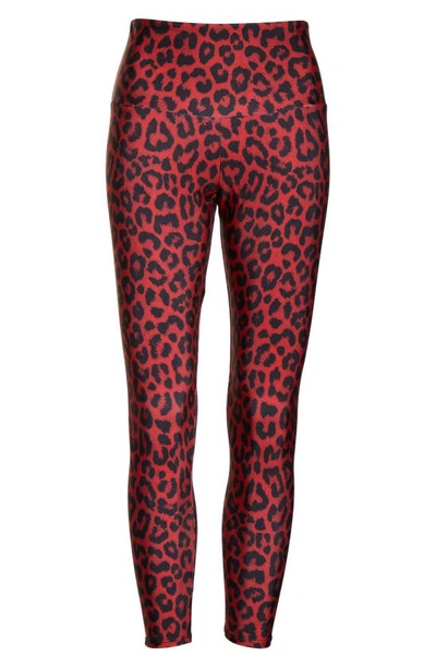 Shop Onzie High Rise Capris In Red Leopard