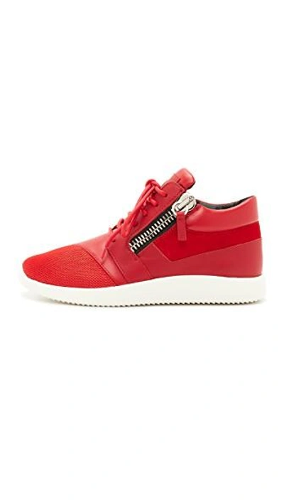 Shop Giuseppe Zanotti Sneakers In Red