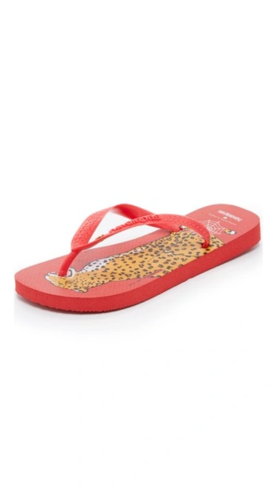 Charlotte Olympia Bruce Havaianas Flip Flops In Red