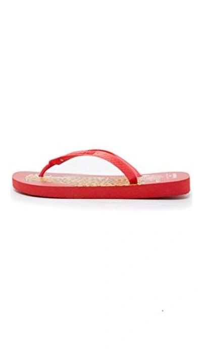 Shop Charlotte Olympia Bruce Havaianas Flip Flops In Red