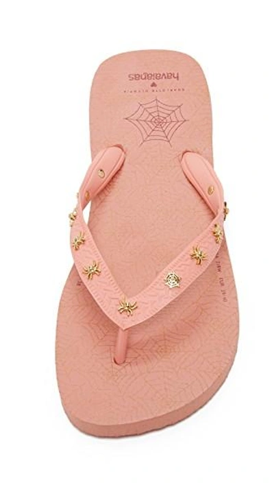 Shop Charlotte Olympia Charlottes Web Havaianas Flip Flops In Pink