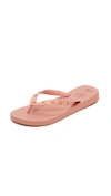 CHARLOTTE OLYMPIA Charlottes Web Havaianas Flip Flops