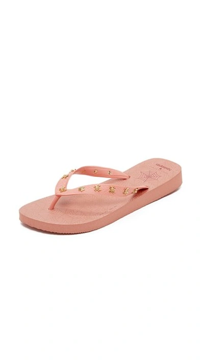 Charlotte Olympia Charlottes Web Havaianas Flip Flops In Pink