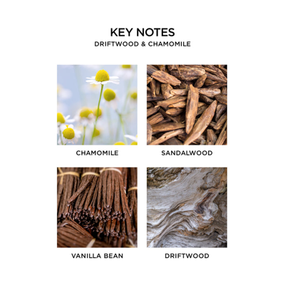 Shop Nest New York Driftwood & Chamomile Refills For Wall Diffuser
