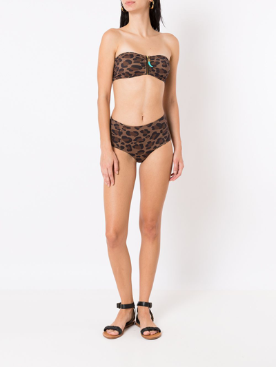 Shop Brigitte Leopard-print Bandeau Bikini Set In Black