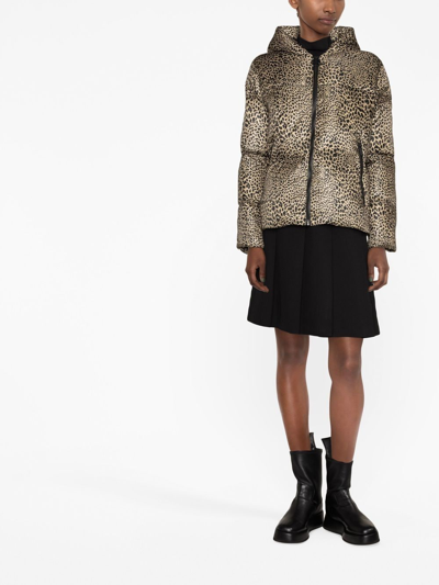 Shop Michael Michael Kors Leopard-print Hooded Puffer Jacket In Neutrals