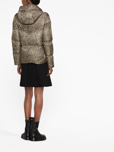 Shop Michael Michael Kors Leopard-print Hooded Puffer Jacket In Neutrals