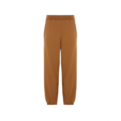 Shop Tibi Pantalon De Jogging En Coton In Marron