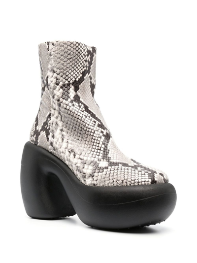 Shop Haus Of Honey Honey Bubble Snake Print Leather Ankle Boots - Women's - Calf Leather/rubber In Grey