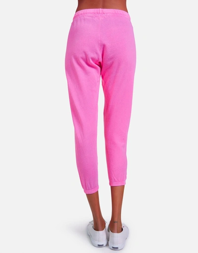 Lauren Moshi X Alana X Pink Lightning Bolt In Neon Pink