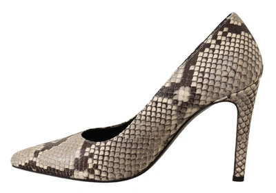 Shop Sofia Gray Snake Skin Leather Stiletto High Heels Pumps Women's Shoes