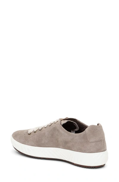 Ara Alexandria Suede Sneaker In Moon