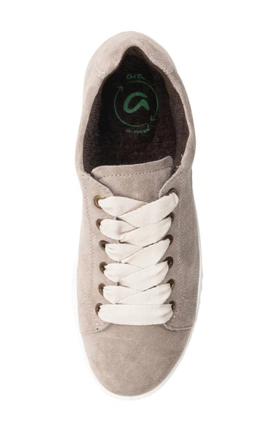 Shop Ara Alexandria Suede Sneaker In Moon