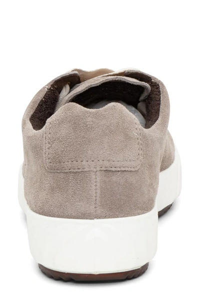 Ara Alexandria Suede Sneaker In Moon