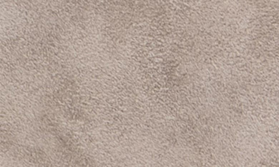 Ara Alexandria Suede Sneaker In Moon