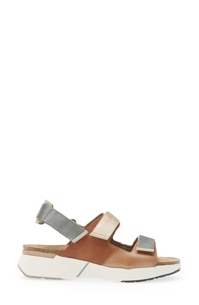 Shop Naot Odyssey Slingback Sandal In Tan/ Latte/ Ivory