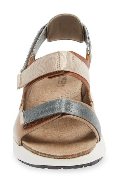 Shop Naot Odyssey Slingback Sandal In Tan/ Latte/ Ivory