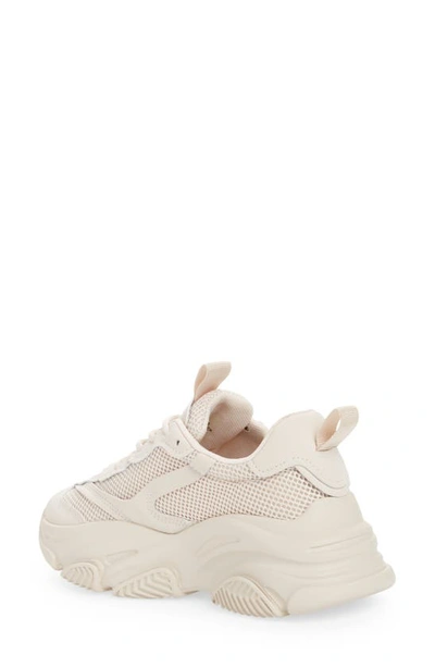 Steve Madden Possession Sneaker In Bone