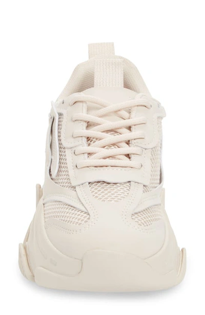 Steve Madden Possession Sneaker In Bone