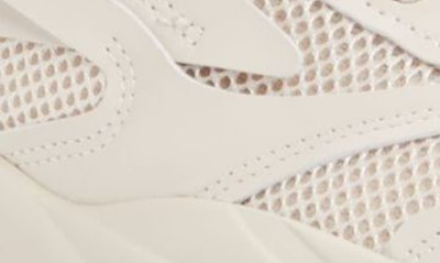 Steve Madden Possession Sneaker In Bone