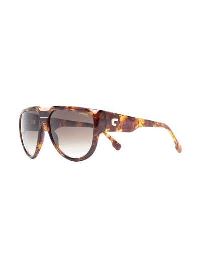 Shop Carrera Flaglab 13 Oversized Sunglasses In Brown