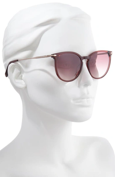 Shop Longchamp Roseau 54mm Round Sunglasses In Ruby/ Brown