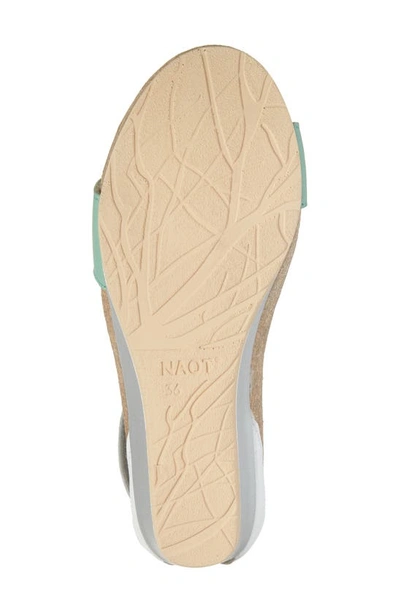 Shop Naot 'pixie' Sandal In Soft Jade/ Soft White/silver
