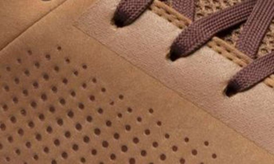 Shop Forsake Dispatch Low Waterproof Hiking Sneaker In Tan
