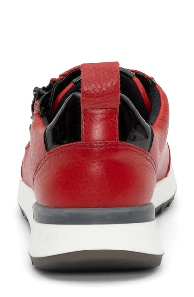 Ara Victoria Gore-tex® Waterproof Sneaker In Red