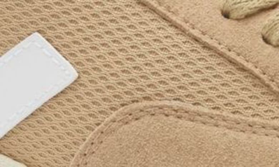 Shop Veja V-12 B-mesh Water Repellent Low Top Sneaker In Dune White