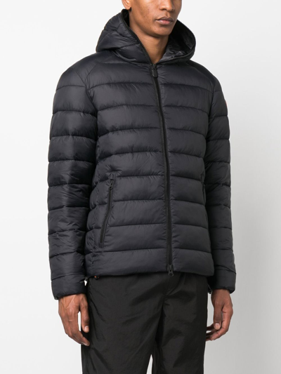 Shop Save The Duck Quilted Puffer Jacket In Black
